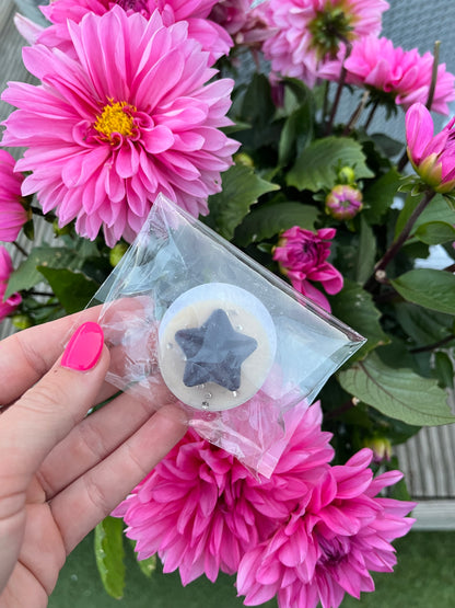 Pomegranate noir wax tart