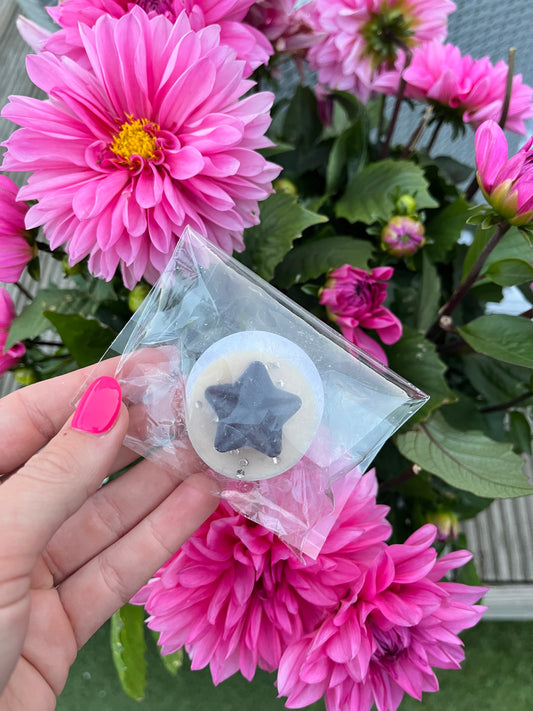 Pomegranate noir wax tart