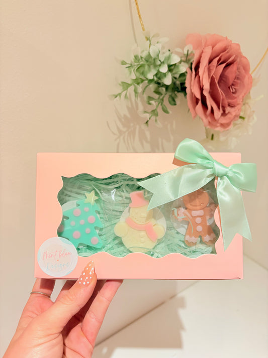 Christmas shape gift set